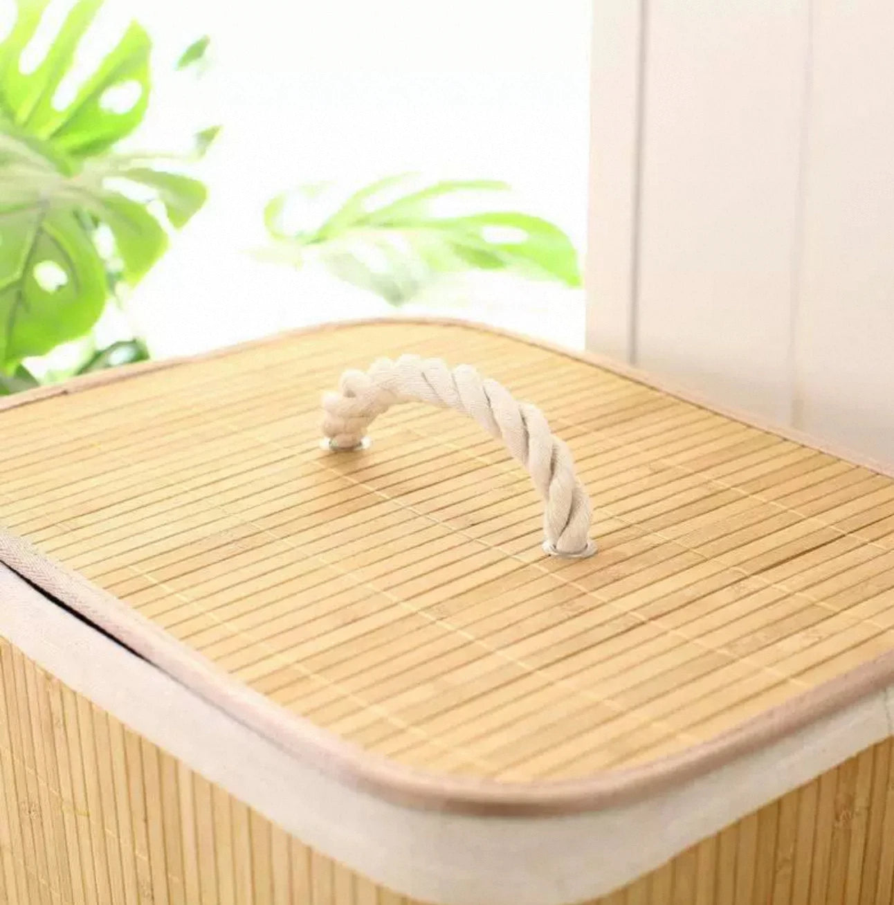Cesto para Ropa Sucia Plegable de Bambú con Tapa Asas y Bolsa Extraíble Grande Organizador Ecológico y Resistente para Dormitorios y Lavandería